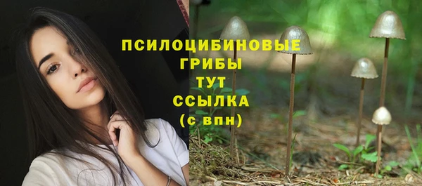 мяу мяу кристалл Переславль-Залесский