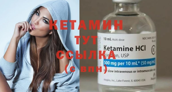 прущие грибы Пересвет
