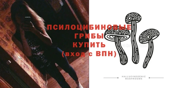 apvp Тихвин