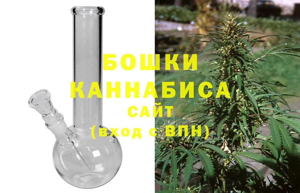 прущие грибы Пересвет