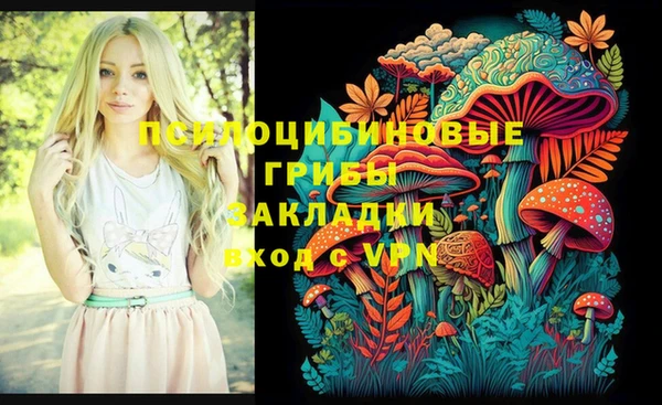 мяу мяу кристалл Переславль-Залесский