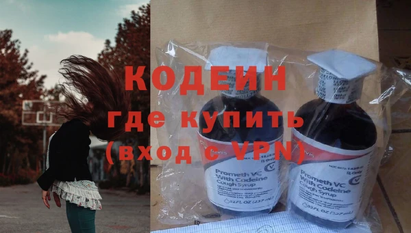 прущие грибы Пересвет
