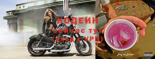 spice Пестово