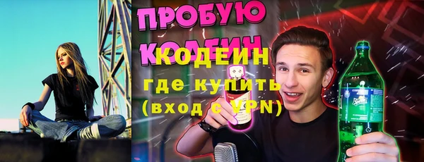 прущие грибы Пересвет