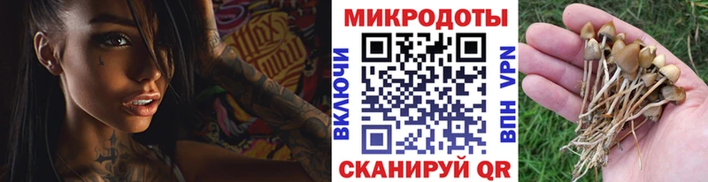 магазин продажи   кракен ссылки  Галлюциногенные грибы GOLDEN TEACHER  Рославль 