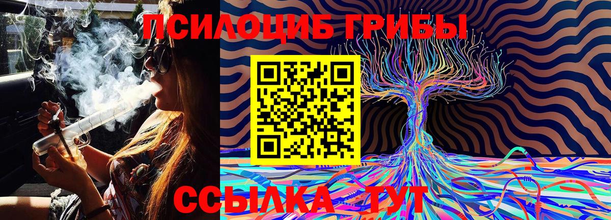 Галлюциногенные грибы Psilocybine cubensis  Рославль 