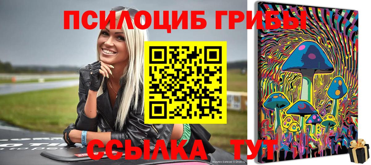 Рославль  Галлюциногенные грибы прущие грибы  Вход с VPN  Галлюциногенные грибы Psilocybine cubensis 