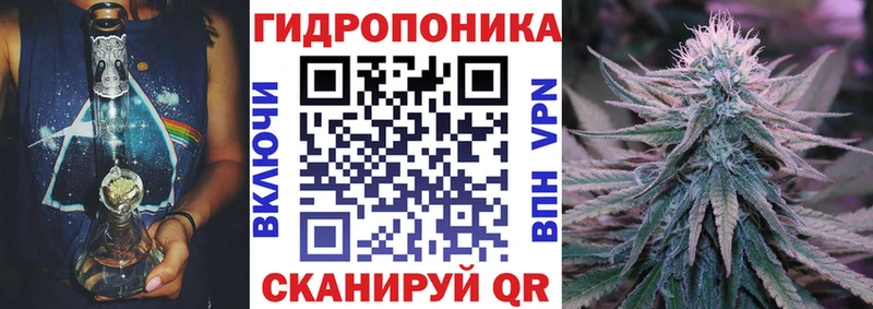 darknet телеграм  как найти закладки  Рославль  Канабис AK-47 